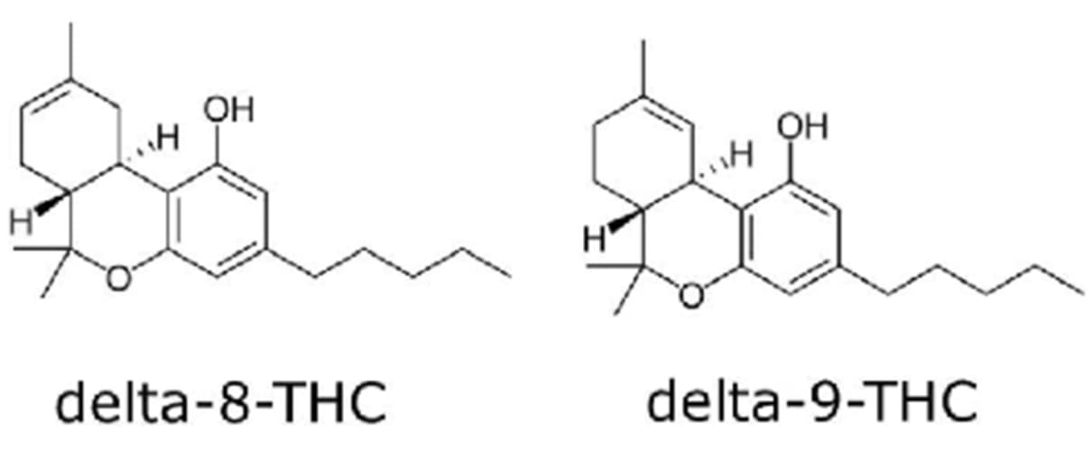 Delta-8 THC versus Delta-9 THC