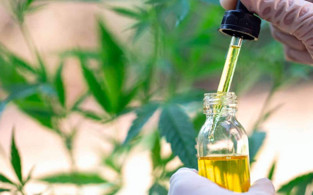 Seven Potential Benefits of CBD Oil - Leafy8 Casselberry Florida 2023
