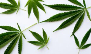 Effects of Hemp-Derived Products-min