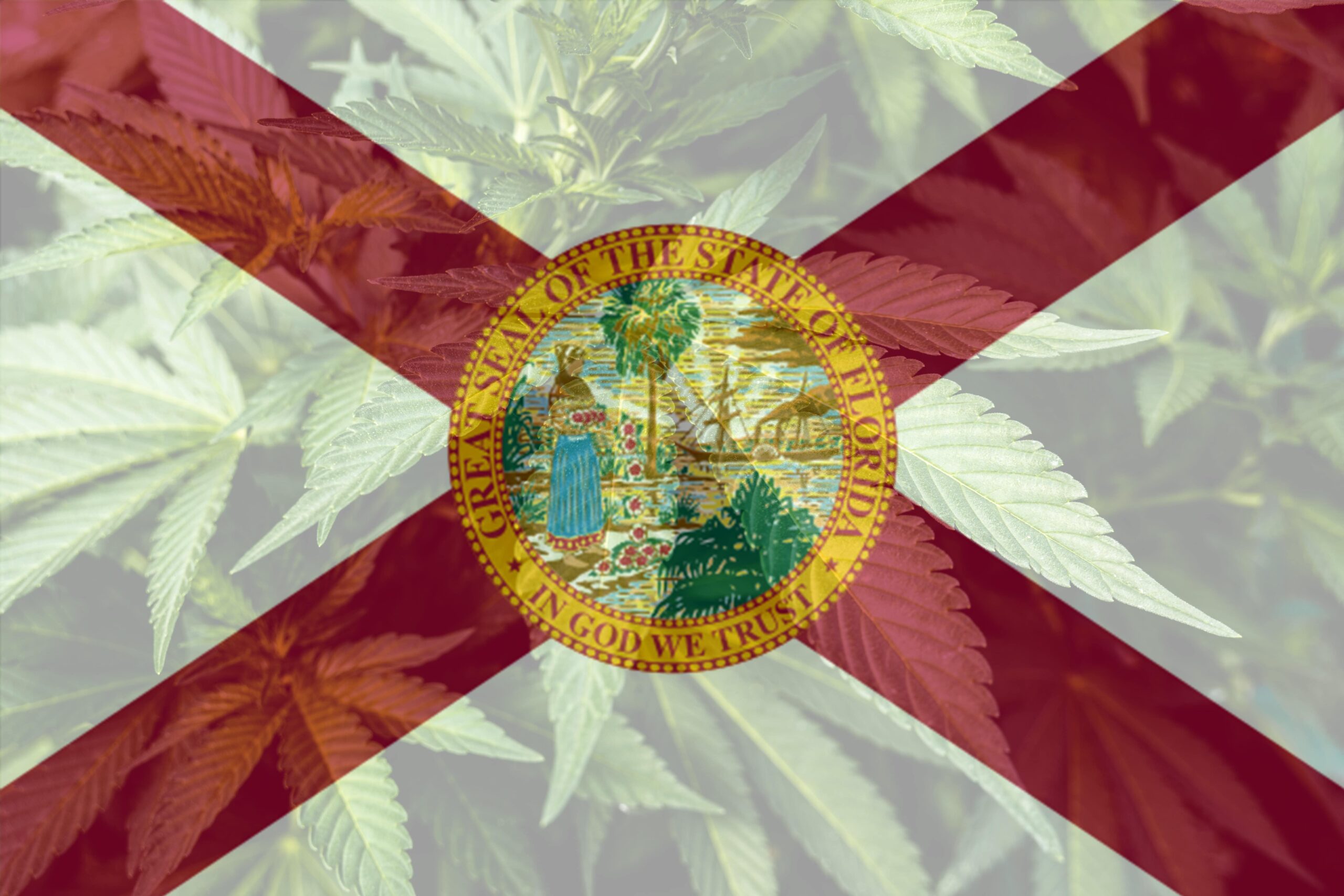 Marijuana with the Florida Flag Overlaid on Top