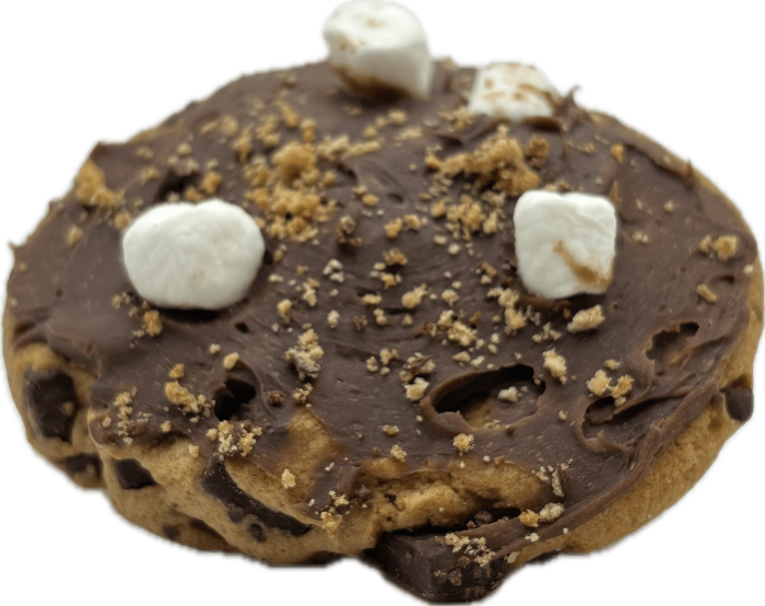 THC COMPLEX CHOCOLATE CHIP COOKIE