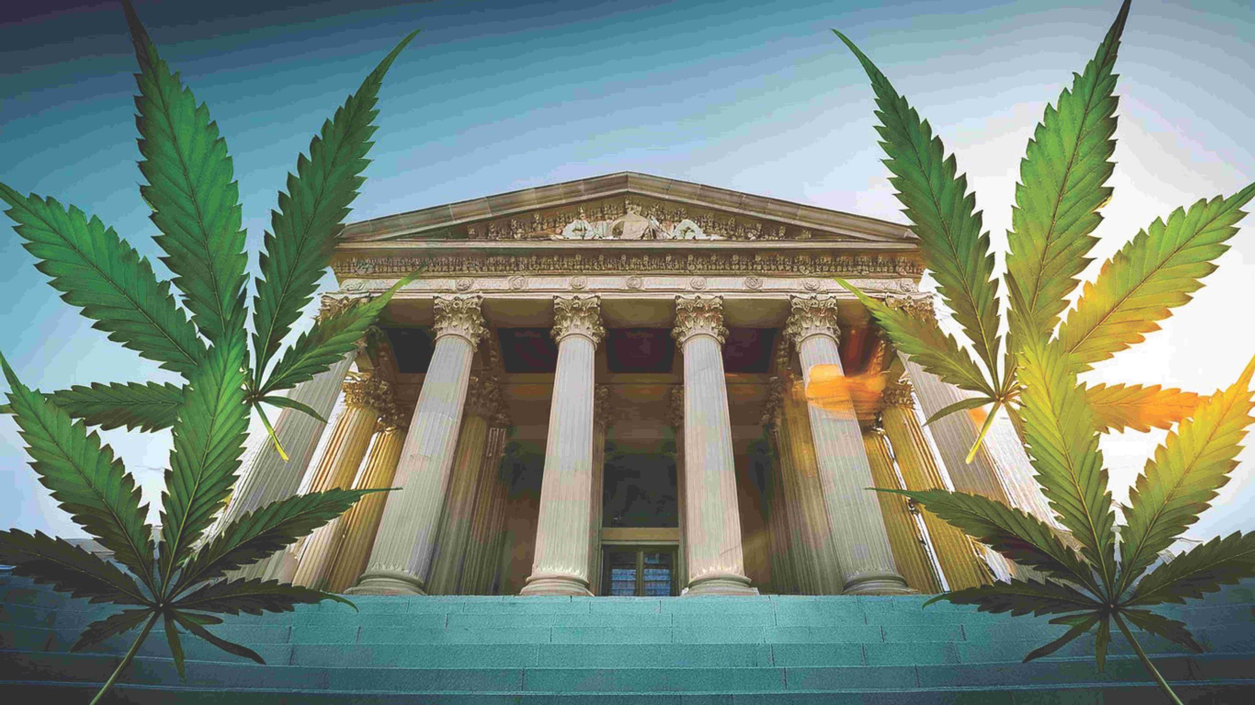 Understanding the New Hemp Laws