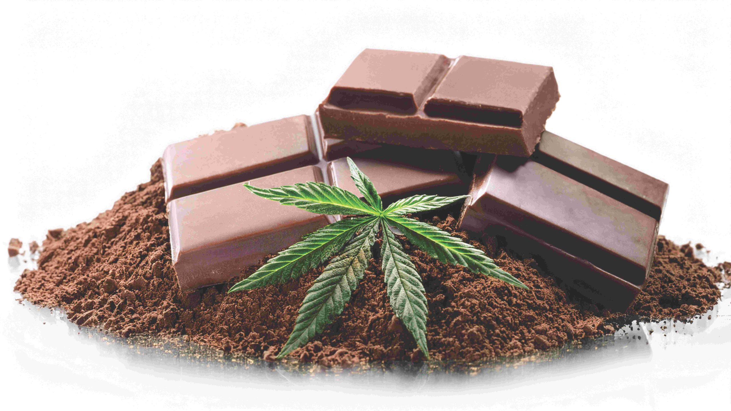 The Belgian Chocolate Difference