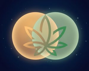 Abstract minimalist graphic of two glowing glowing amber and sage green orbs overlapping with a stylized hemp leaf logo overlaid in the center on a dark navy background.